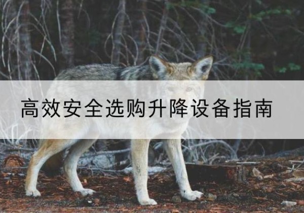 鲁甸升降货梯厂家推荐-*安全选购升降设备指南