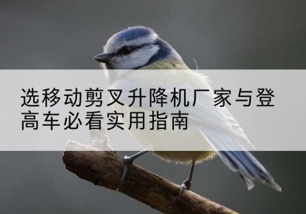 鲁甸电动升降机厂家-选移动剪叉升降机厂家与登高车必看实用指南