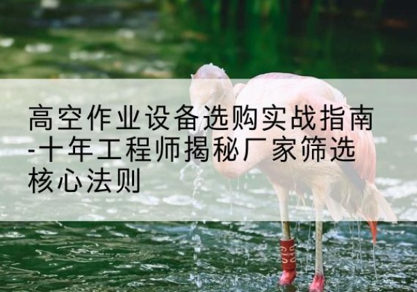 鲁甸剪叉式升降机厂家-高空作业设备选购实战指南-十年工程师揭秘厂家筛选核心法则